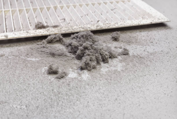Best Air Duct Cleaning Near Me in Yanceyville, NC